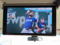 �I�f�b�Z�C �摜