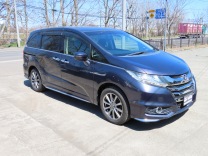 �I�f�b�Z�C �摜