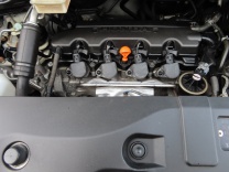 �X�e�b�v���S�� �摜