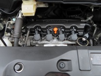 �X�e�b�v���S�� �摜